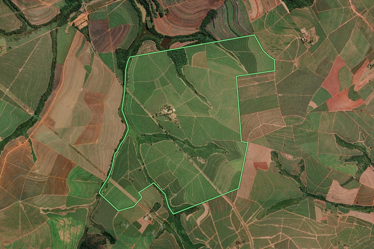 Imagem de satélite do imóvel rural em Palmares Paulista (SP), com o contorno declarado no CAR desenhado por cima.