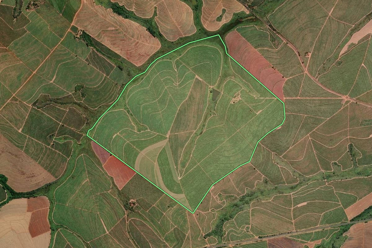 Imagem de satélite do imóvel rural em Palmares Paulista (SP), com o contorno declarado no CAR desenhado por cima.