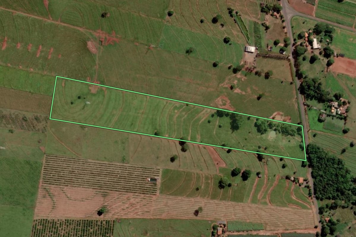 Imagem de satélite do imóvel rural em Palmeira d'Oeste (SP), com o contorno declarado no CAR desenhado por cima.