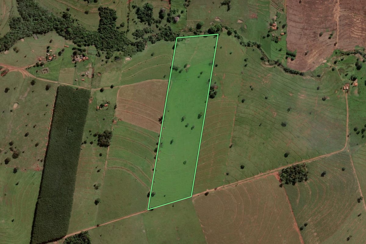 Imagem de satélite do imóvel rural em Palmeira d'Oeste (SP), com o contorno declarado no CAR desenhado por cima.
