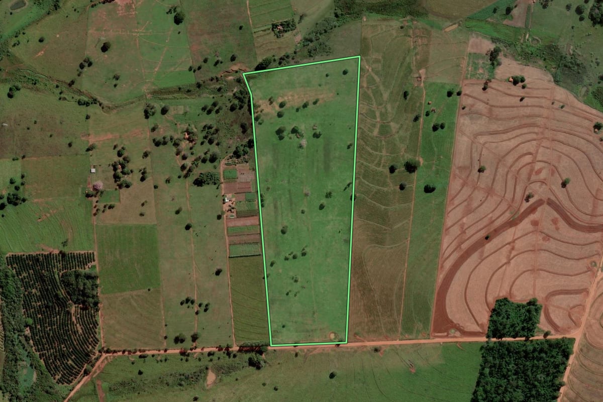 Imagem de satélite do imóvel rural em Palmeira d'Oeste (SP), com o contorno declarado no CAR desenhado por cima.
