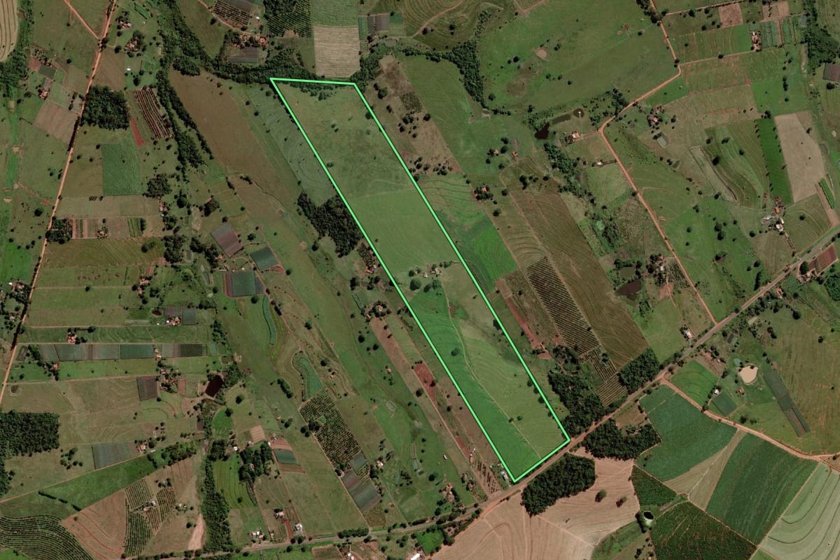 Imagem de satélite do imóvel rural em Palmeira d'Oeste (SP), com o contorno declarado no CAR desenhado por cima.