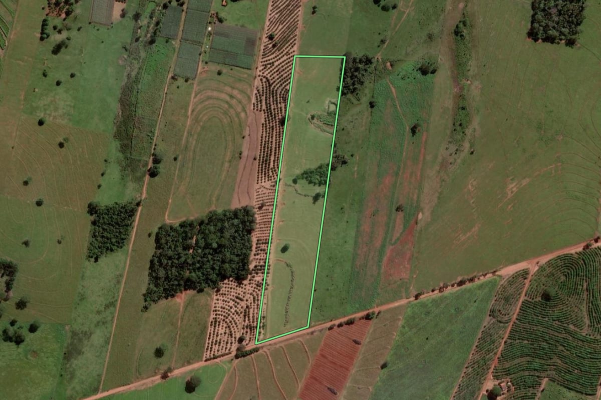 Imagem de satélite do imóvel rural em Palmeira d'Oeste (SP), com o contorno declarado no CAR desenhado por cima.