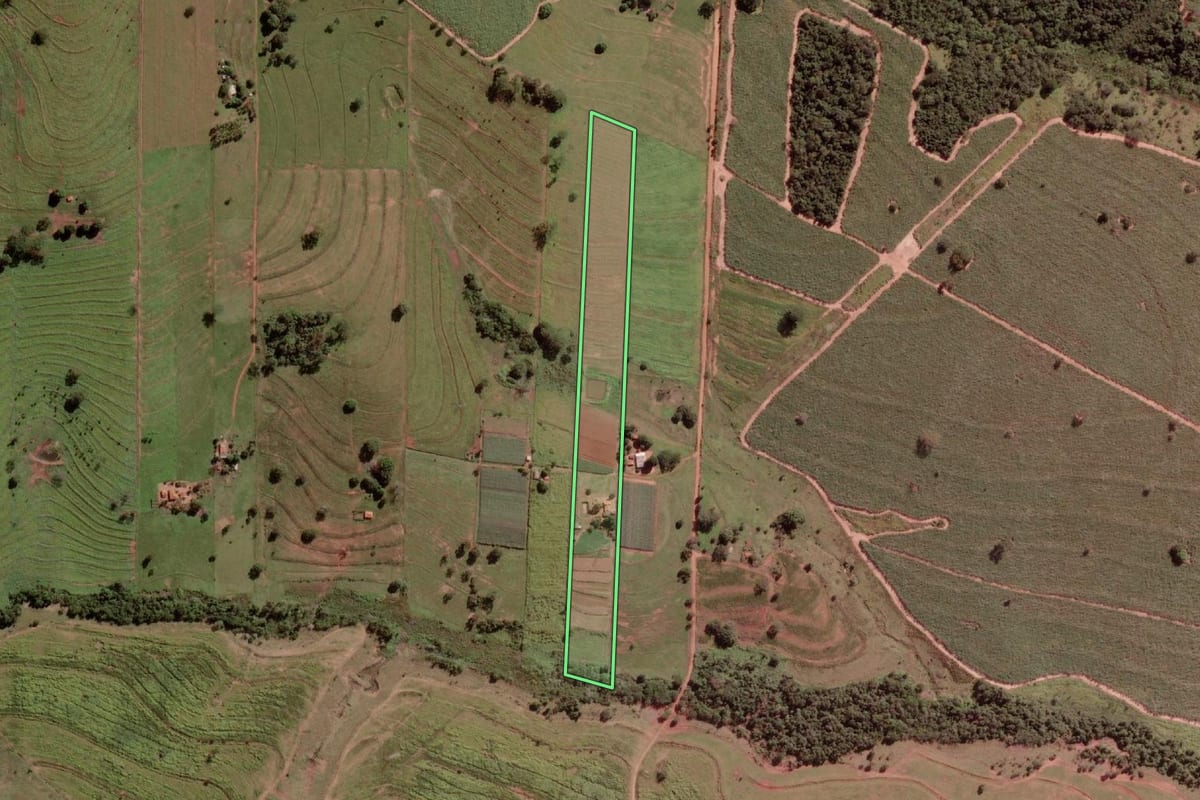 Imagem de satélite do imóvel rural em Palmeira d'Oeste (SP), com o contorno declarado no CAR desenhado por cima.