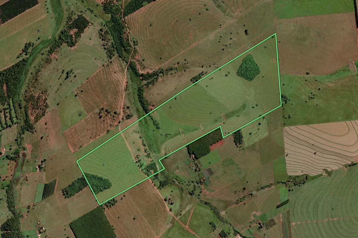 Imagem de satélite do imóvel rural em Palmeira d'Oeste (SP), com o contorno declarado no CAR desenhado por cima.
