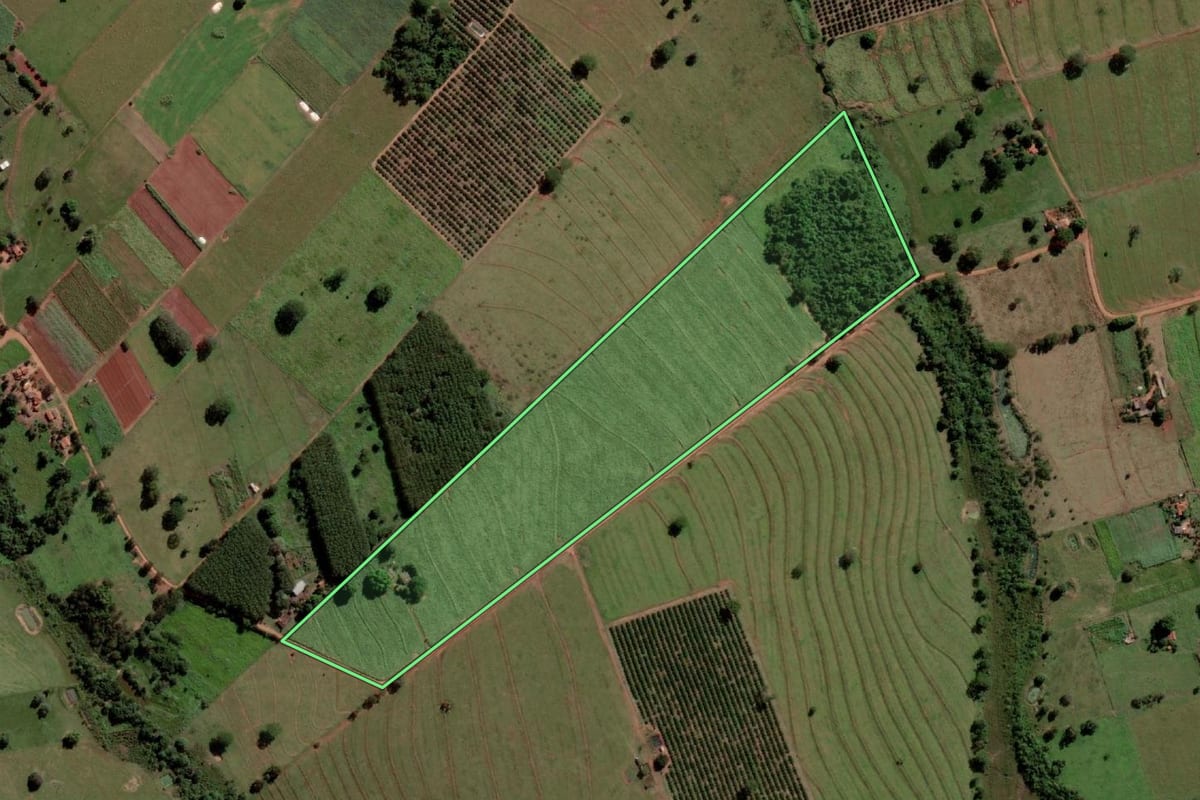Imagem de satélite do imóvel rural em Palmeira d'Oeste (SP), com o contorno declarado no CAR desenhado por cima.