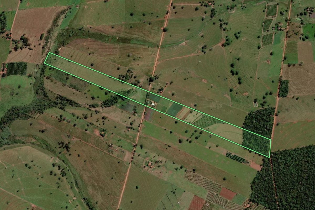Imagem de satélite do imóvel rural em Palmeira d'Oeste (SP), com o contorno declarado no CAR desenhado por cima.
