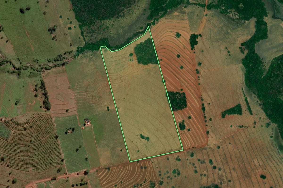 Imagem de satélite do imóvel rural em Palmeira d'Oeste (SP), com o contorno declarado no CAR desenhado por cima.