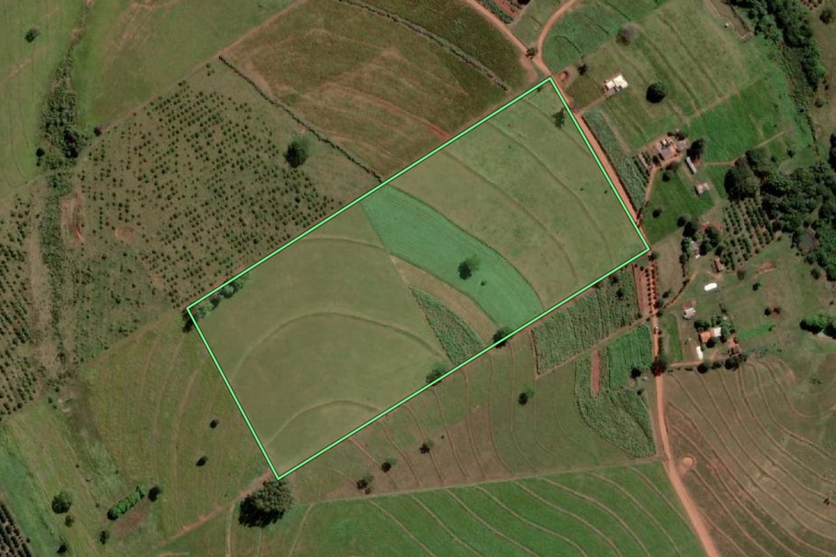 Imagem de satélite do imóvel rural em Palmeira d'Oeste (SP), com o contorno declarado no CAR desenhado por cima.