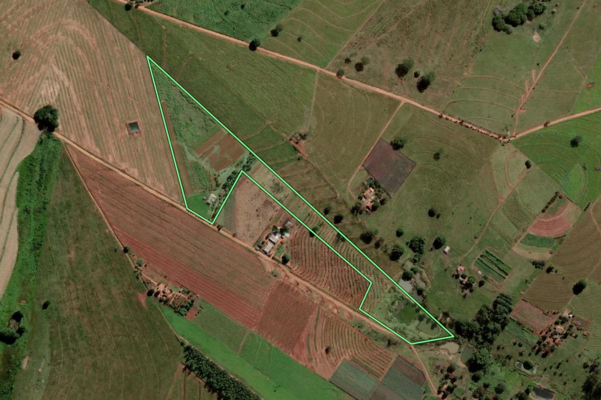 Imagem de satélite do imóvel rural em Palmeira d'Oeste (SP), com o contorno declarado no CAR desenhado por cima.