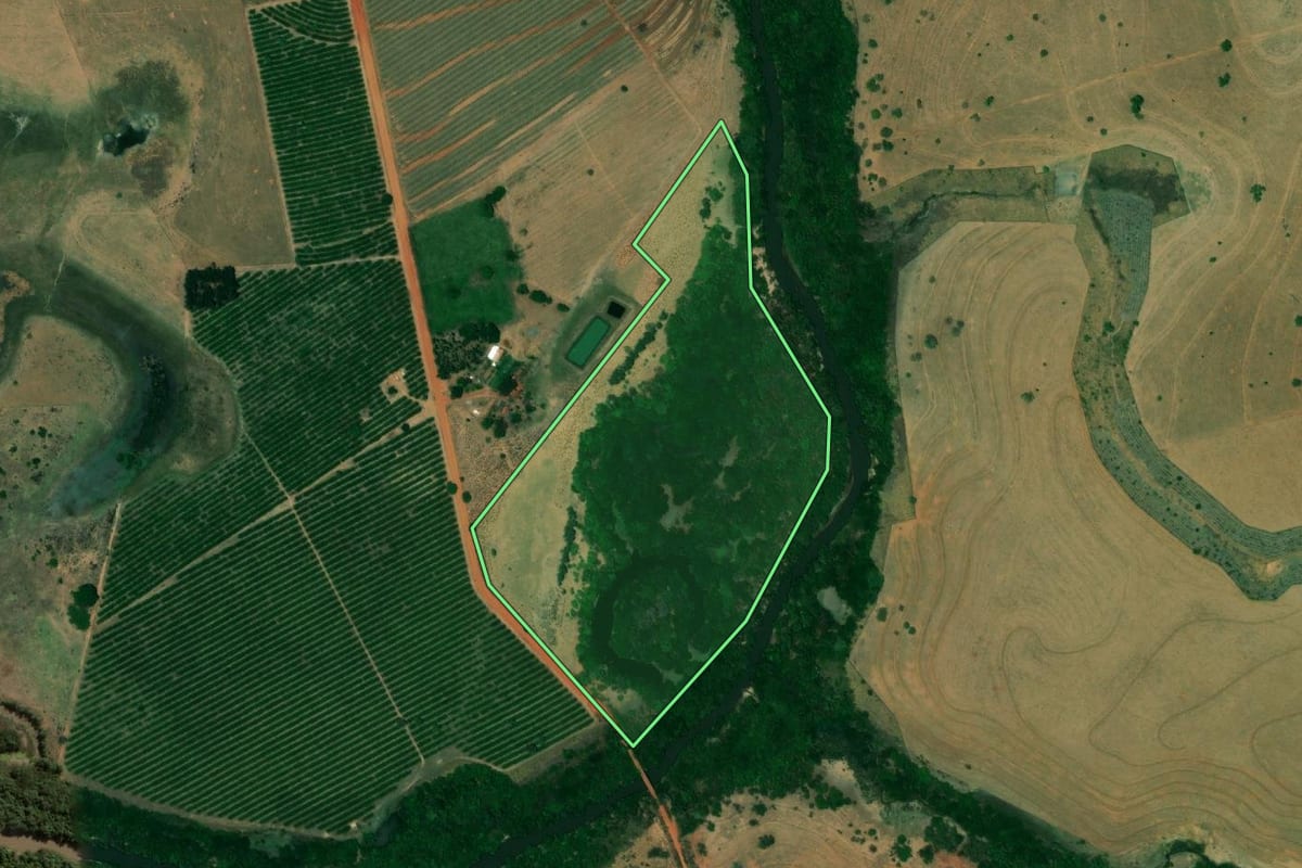 Imagem de satélite do imóvel rural em Palmeira d'Oeste (SP), com o contorno declarado no CAR desenhado por cima.