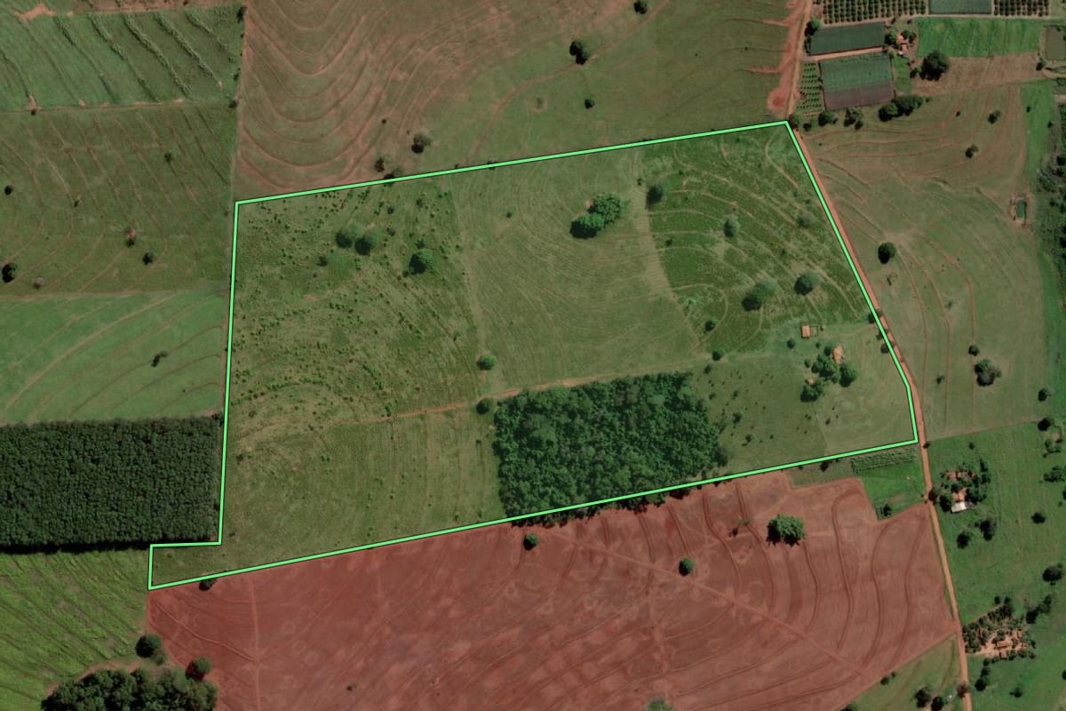 Imagem de satélite do imóvel rural em Palmeira d'Oeste (SP), com o contorno declarado no CAR desenhado por cima.
