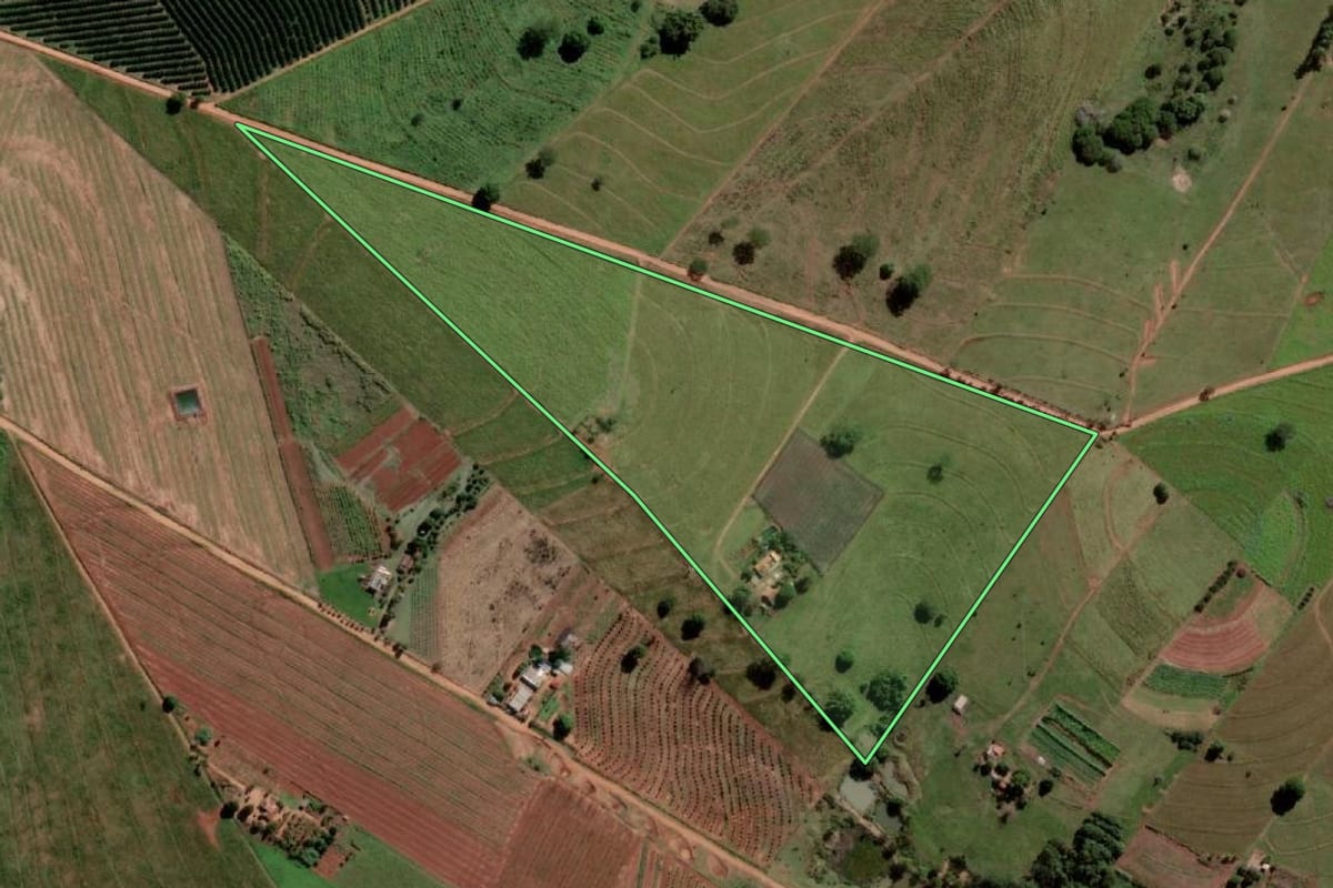 Imagem de satélite do imóvel rural em Palmeira d'Oeste (SP), com o contorno declarado no CAR desenhado por cima.