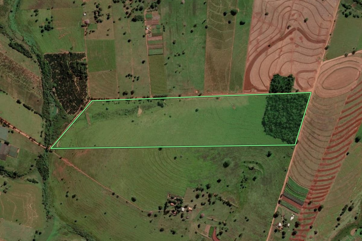 Imagem de satélite do imóvel rural em Palmeira d'Oeste (SP), com o contorno declarado no CAR desenhado por cima.