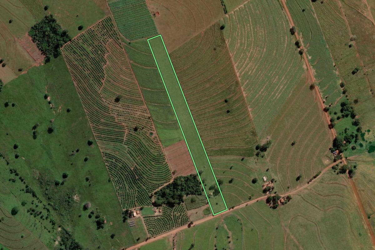 Imagem de satélite do imóvel rural em Palmeira d'Oeste (SP), com o contorno declarado no CAR desenhado por cima.