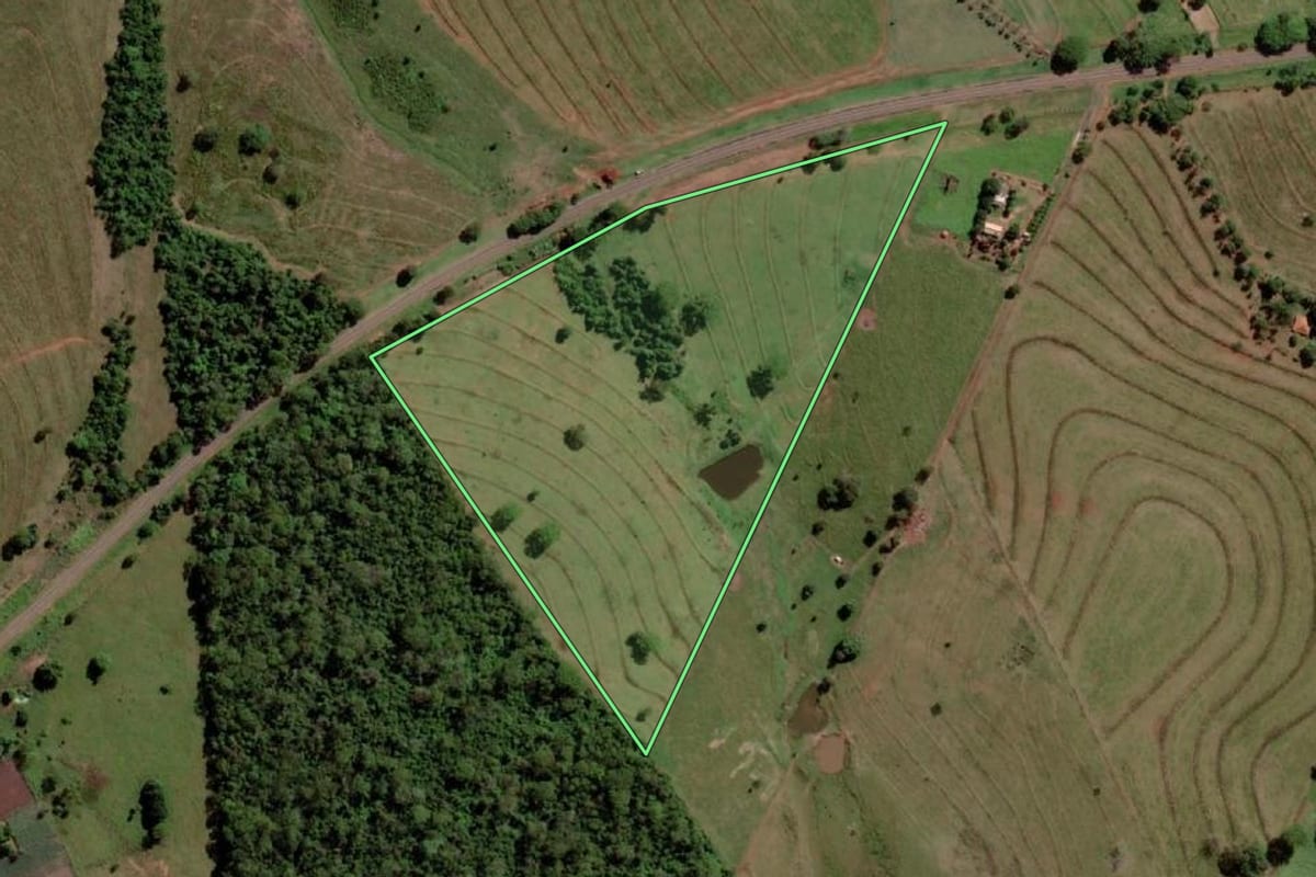 Imagem de satélite do imóvel rural em Palmeira d'Oeste (SP), com o contorno declarado no CAR desenhado por cima.