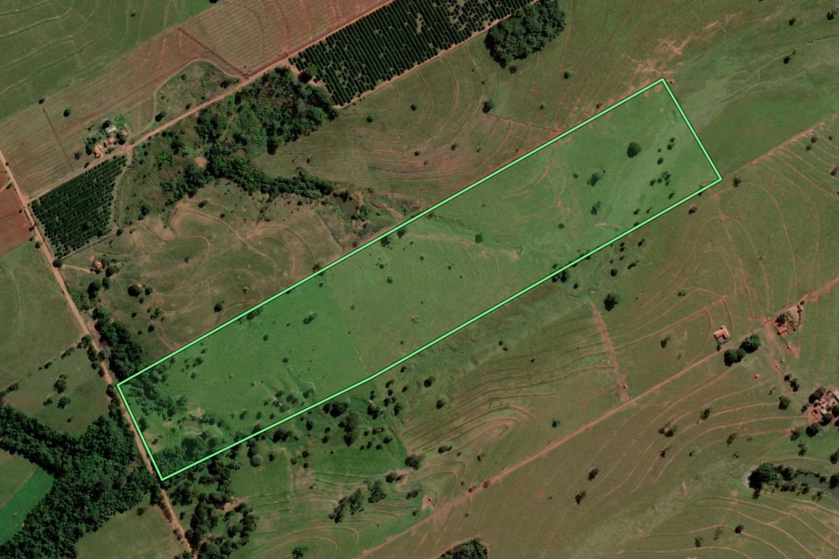 Imagem de satélite do imóvel rural em Palmeira d'Oeste (SP), com o contorno declarado no CAR desenhado por cima.