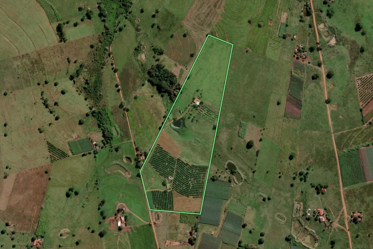 Imagem de satélite do imóvel rural em Palmeira d'Oeste (SP), com o contorno declarado no CAR desenhado por cima.