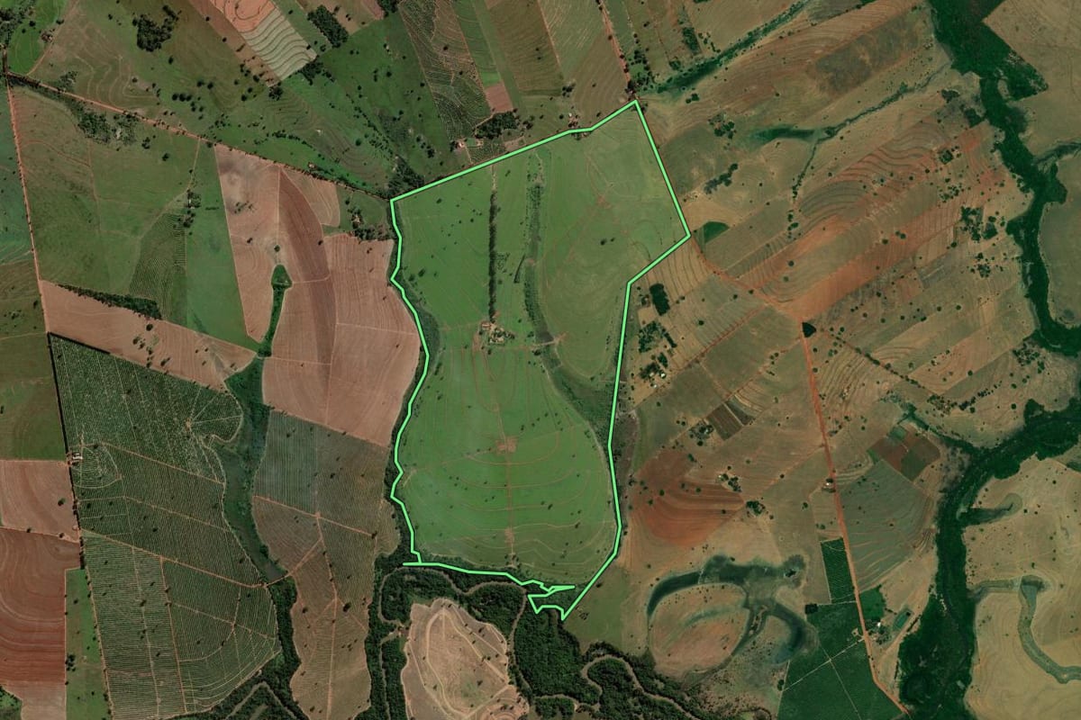 Imagem de satélite do imóvel rural em Palmeira d'Oeste (SP), com o contorno declarado no CAR desenhado por cima.