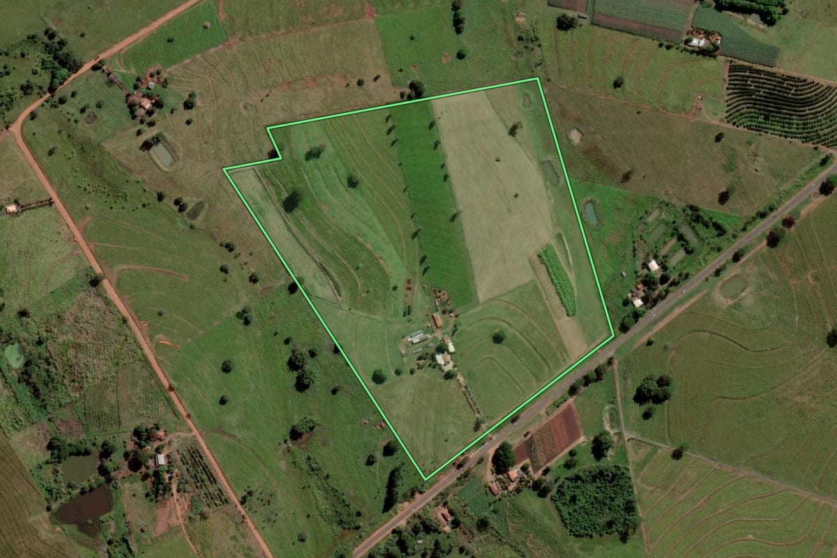 Imagem de satélite do imóvel rural em Palmeira d'Oeste (SP), com o contorno declarado no CAR desenhado por cima.