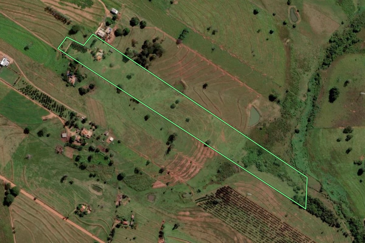 Imagem de satélite do imóvel rural em Palmeira d'Oeste (SP), com o contorno declarado no CAR desenhado por cima.