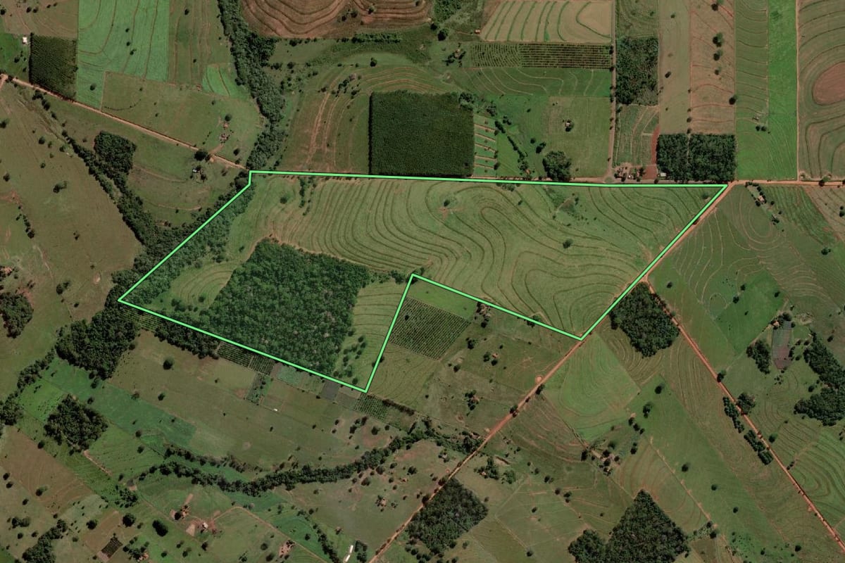 Imagem de satélite do imóvel rural em Palmeira d'Oeste (SP), com o contorno declarado no CAR desenhado por cima.