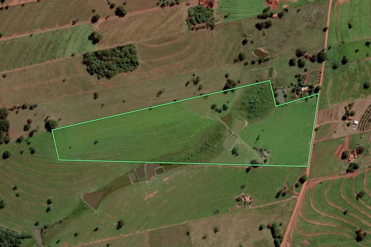 Imagem de satélite do imóvel rural em Palmeira d'Oeste (SP), com o contorno declarado no CAR desenhado por cima.