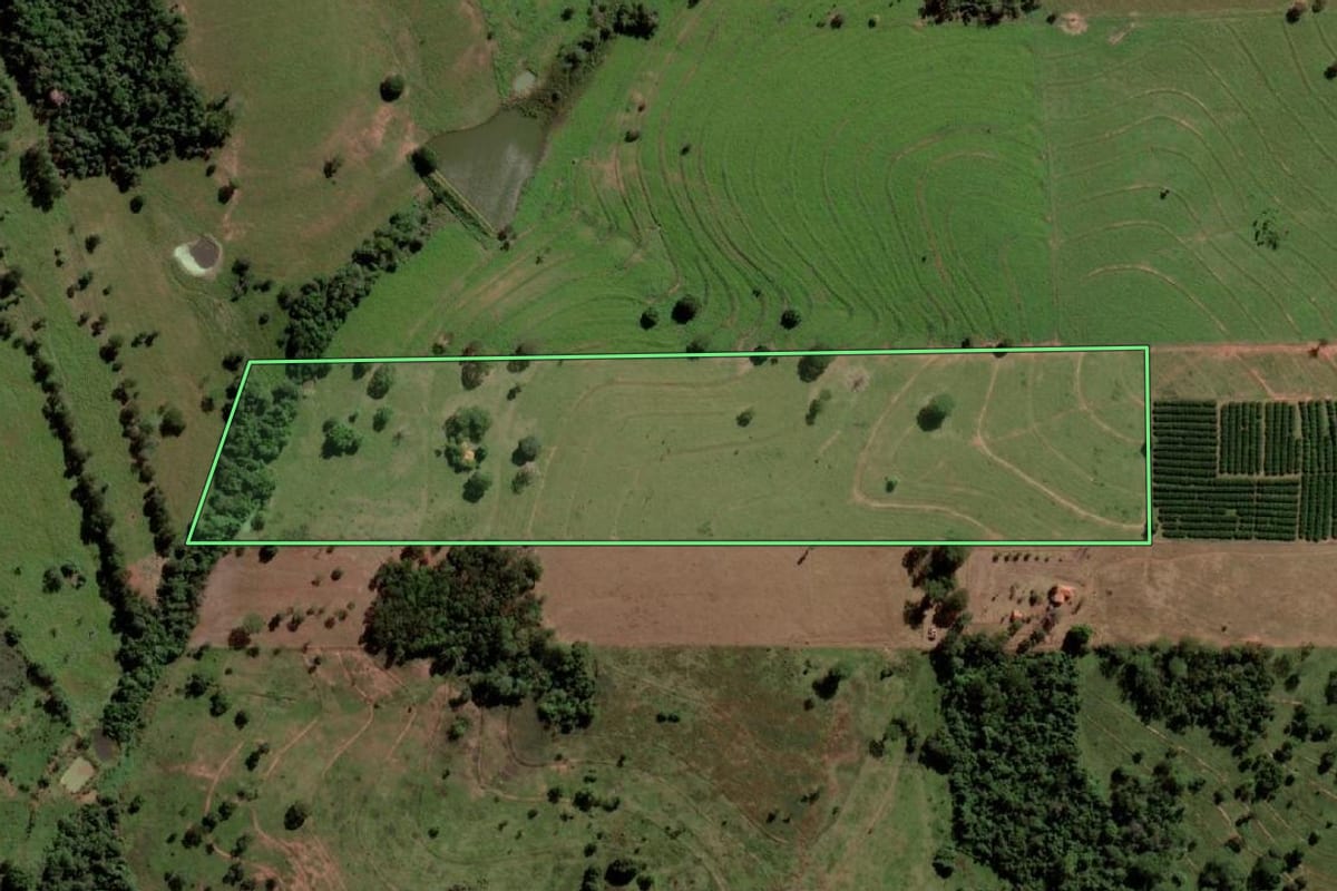 Imagem de satélite do imóvel rural em Palmeira d'Oeste (SP), com o contorno declarado no CAR desenhado por cima.