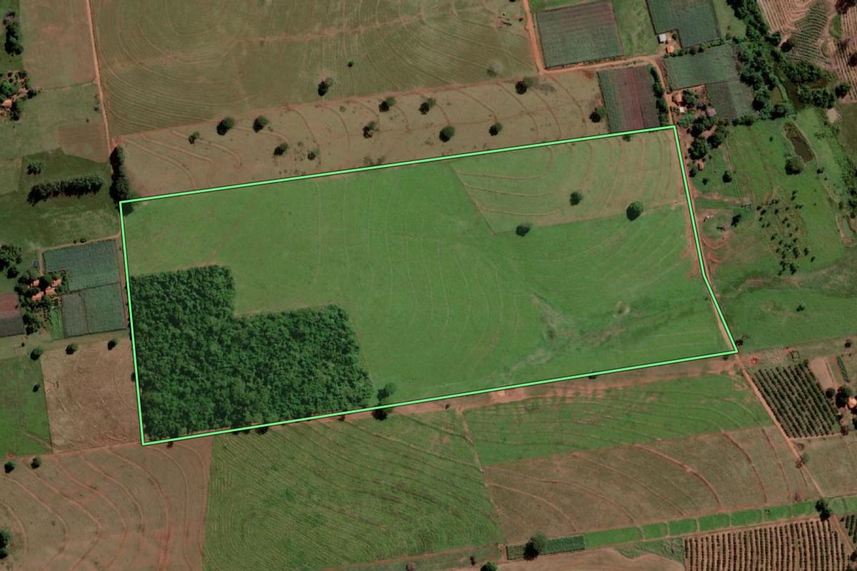 Imagem de satélite do imóvel rural em Palmeira d'Oeste (SP), com o contorno declarado no CAR desenhado por cima.