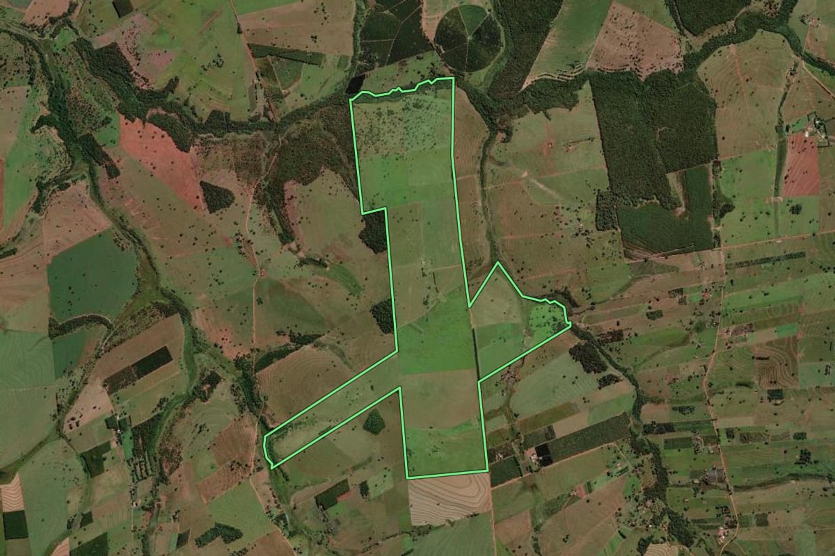 Imagem de satélite do imóvel rural em Palmeira d'Oeste (SP), com o contorno declarado no CAR desenhado por cima.