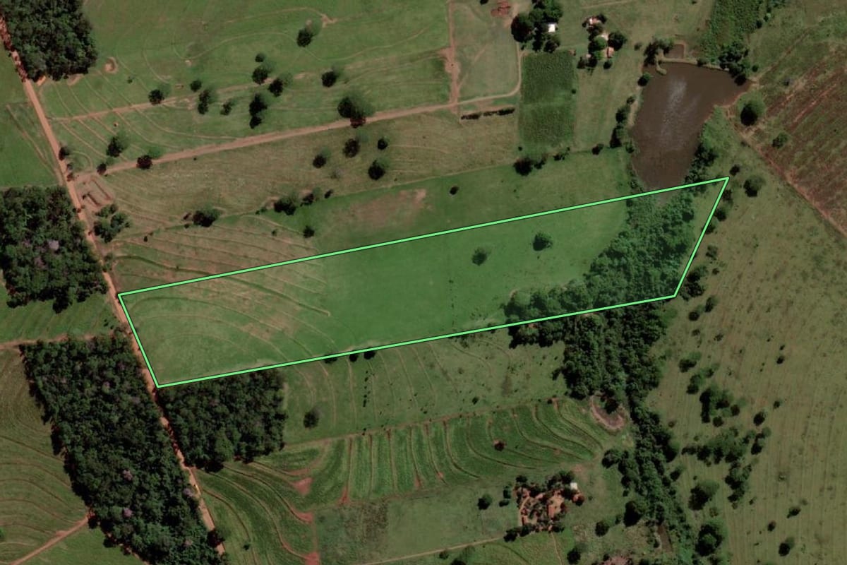 Imagem de satélite do imóvel rural em Palmeira d'Oeste (SP), com o contorno declarado no CAR desenhado por cima.