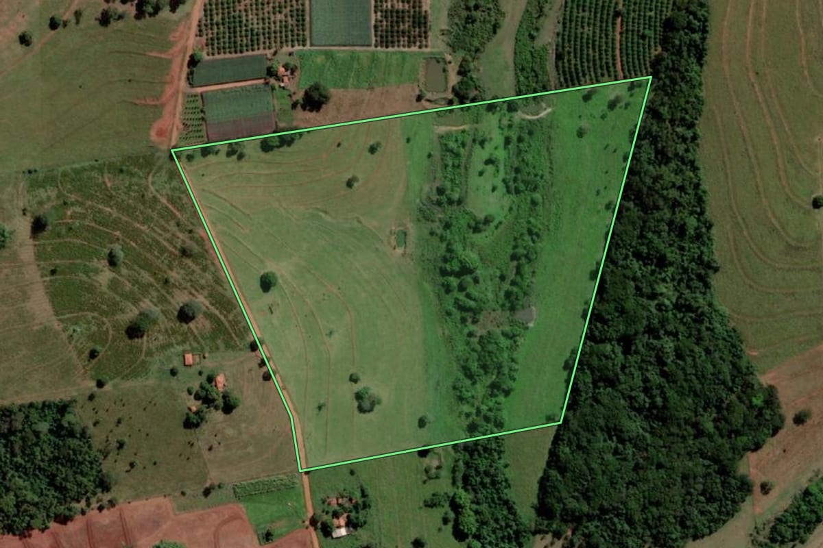 Imagem de satélite do imóvel rural em Palmeira d'Oeste (SP), com o contorno declarado no CAR desenhado por cima.