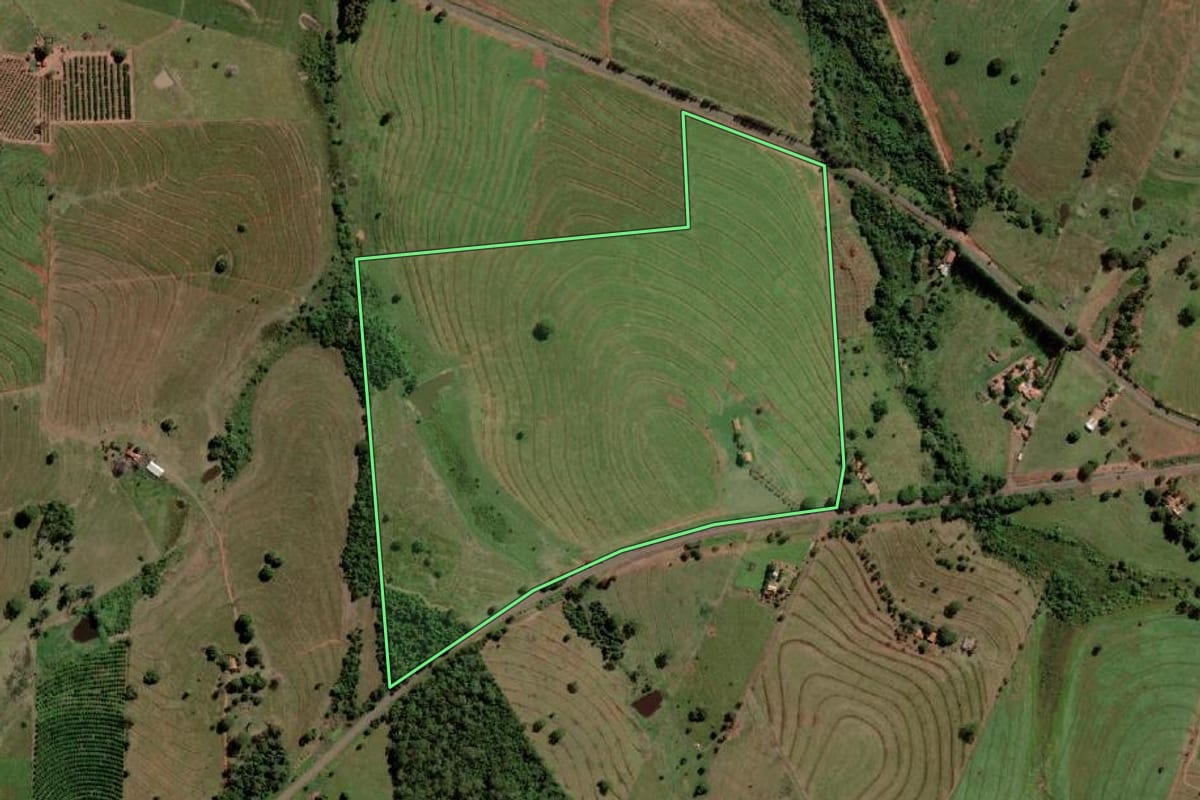 Imagem de satélite do imóvel rural em Palmeira d'Oeste (SP), com o contorno declarado no CAR desenhado por cima.