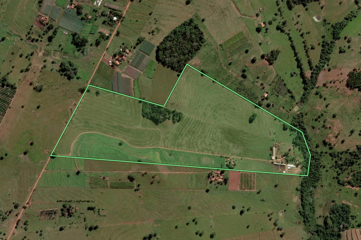 Imagem de satélite do imóvel rural em Palmeira d'Oeste (SP), com o contorno declarado no CAR desenhado por cima.