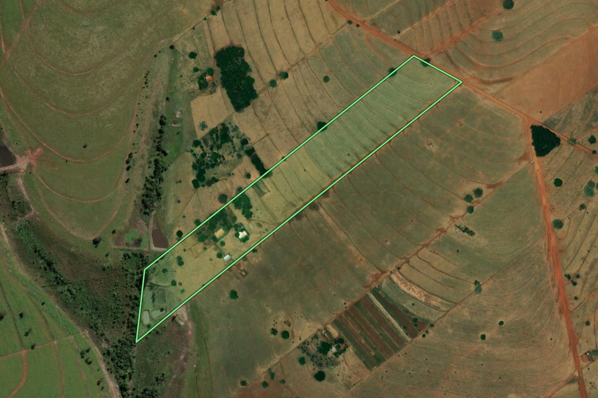 Imagem de satélite do imóvel rural em Palmeira d'Oeste (SP), com o contorno declarado no CAR desenhado por cima.