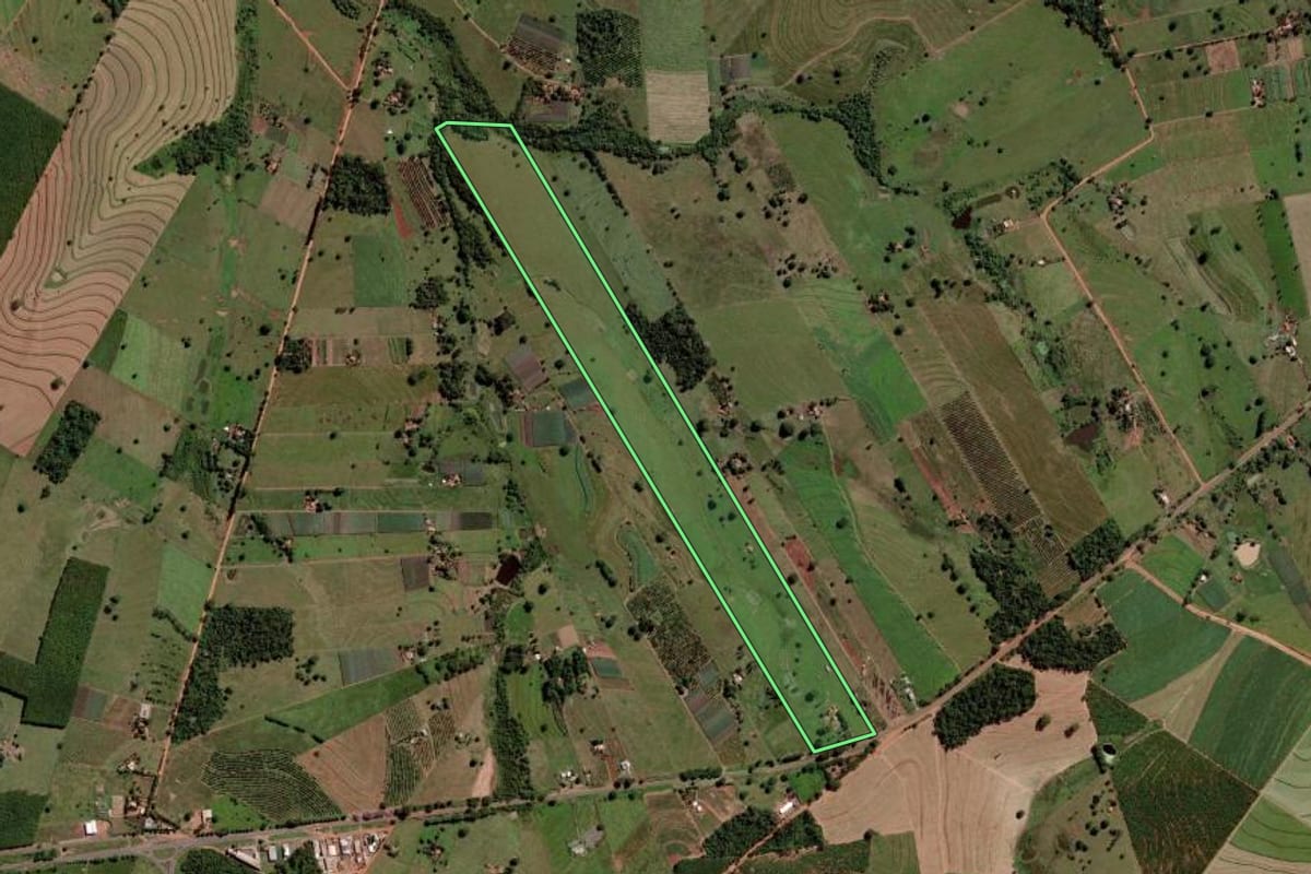 Imagem de satélite do imóvel rural em Palmeira d'Oeste (SP), com o contorno declarado no CAR desenhado por cima.
