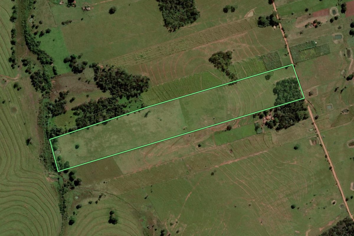 Imagem de satélite do imóvel rural em Palmeira d'Oeste (SP), com o contorno declarado no CAR desenhado por cima.