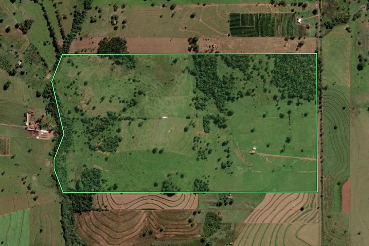 Imagem de satélite do imóvel rural em Palmeira d'Oeste (SP), com o contorno declarado no CAR desenhado por cima.