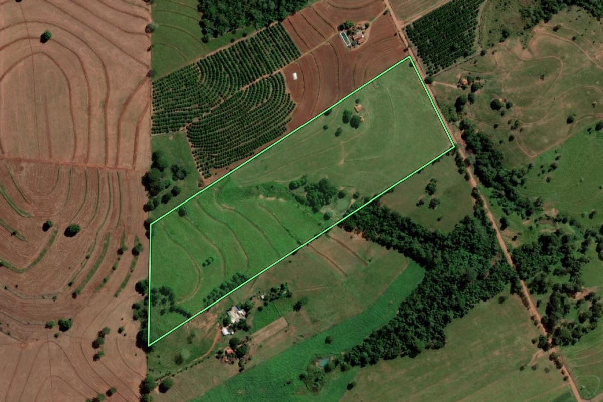Imagem de satélite do imóvel rural em Palmeira d'Oeste (SP), com o contorno declarado no CAR desenhado por cima.