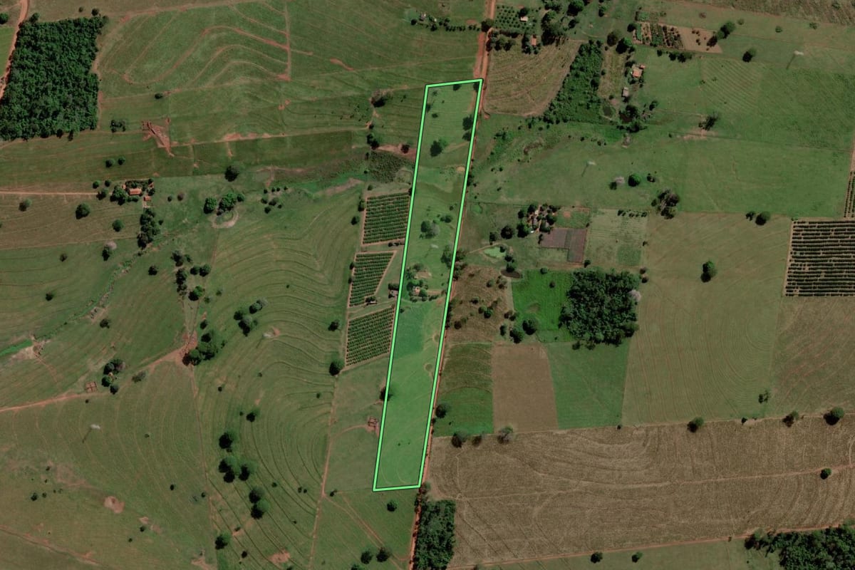 Imagem de satélite do imóvel rural em Palmeira d'Oeste (SP), com o contorno declarado no CAR desenhado por cima.
