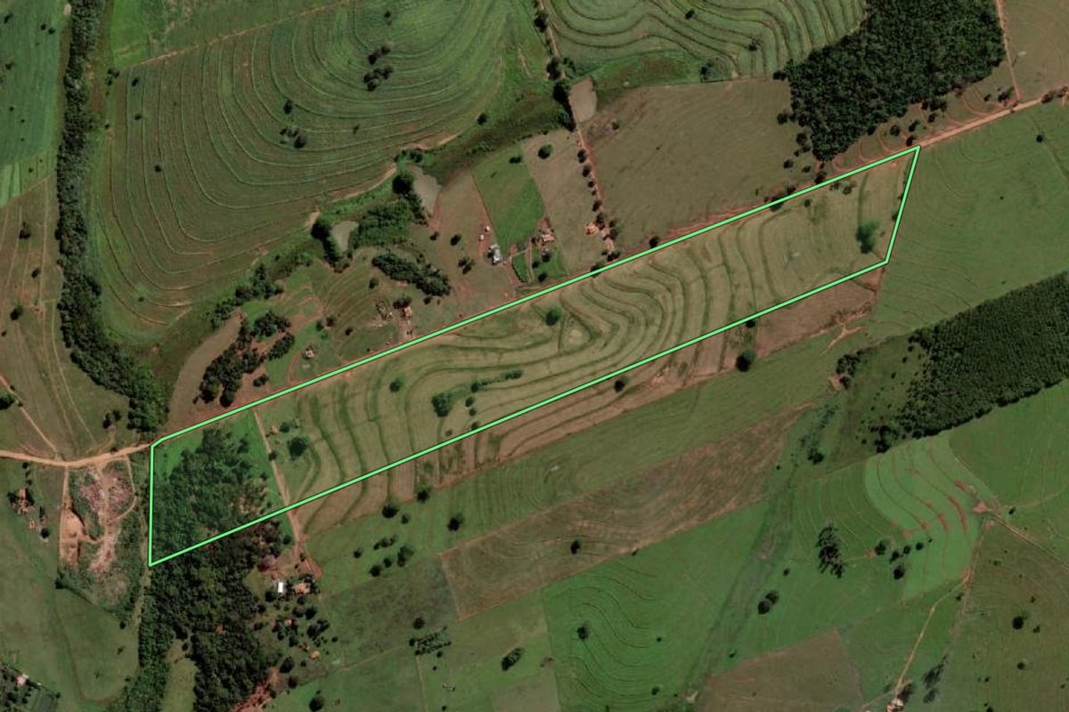 Imagem de satélite do imóvel rural em Palmeira d'Oeste (SP), com o contorno declarado no CAR desenhado por cima.