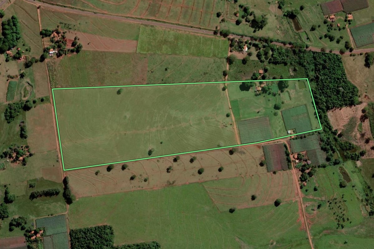 Imagem de satélite do imóvel rural em Palmeira d'Oeste (SP), com o contorno declarado no CAR desenhado por cima.