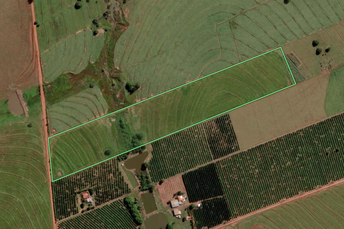 Imagem de satélite do imóvel rural em Palmeira d'Oeste (SP), com o contorno declarado no CAR desenhado por cima.