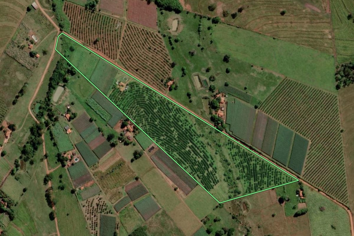 Imagem de satélite do imóvel rural em Palmeira d'Oeste (SP), com o contorno declarado no CAR desenhado por cima.