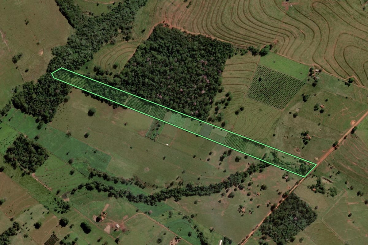 Imagem de satélite do imóvel rural em Palmeira d'Oeste (SP), com o contorno declarado no CAR desenhado por cima.