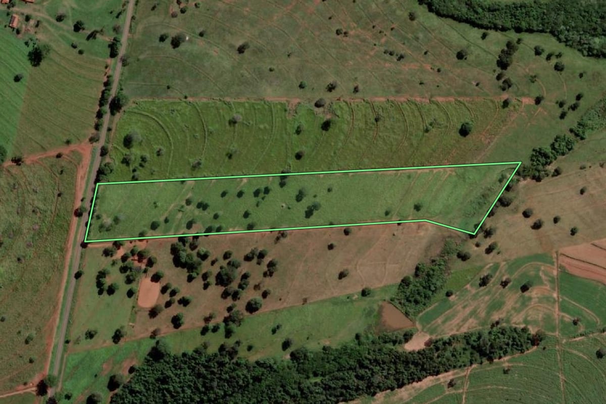 Imagem de satélite do imóvel rural em Palmeira d'Oeste (SP), com o contorno declarado no CAR desenhado por cima.