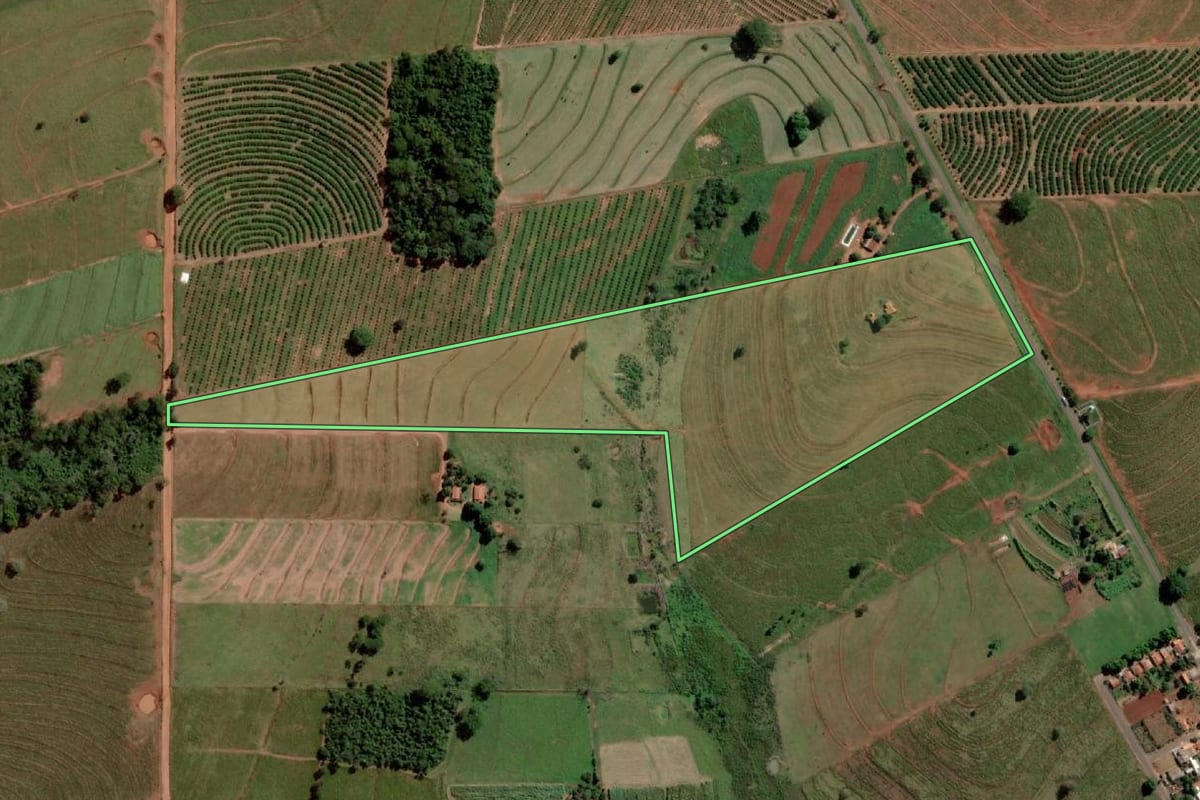 Imagem de satélite do imóvel rural em Palmeira d'Oeste (SP), com o contorno declarado no CAR desenhado por cima.