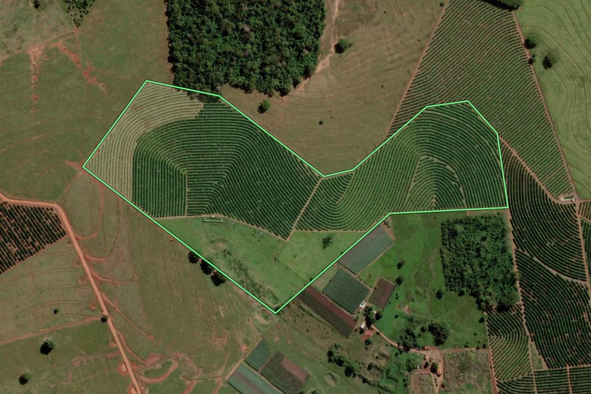 Imagem de satélite do imóvel rural em Palmeira d'Oeste (SP), com o contorno declarado no CAR desenhado por cima.