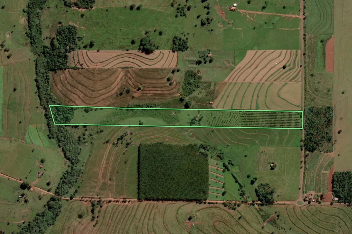 Imagem de satélite do imóvel rural em Palmeira d'Oeste (SP), com o contorno declarado no CAR desenhado por cima.