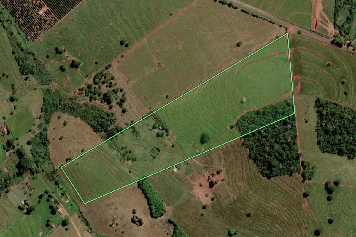 Imagem de satélite do imóvel rural em Palmeira d'Oeste (SP), com o contorno declarado no CAR desenhado por cima.